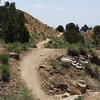 nickali > Wonderful Fruita singletrack.